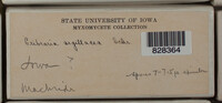 Image Associated With the Occurence